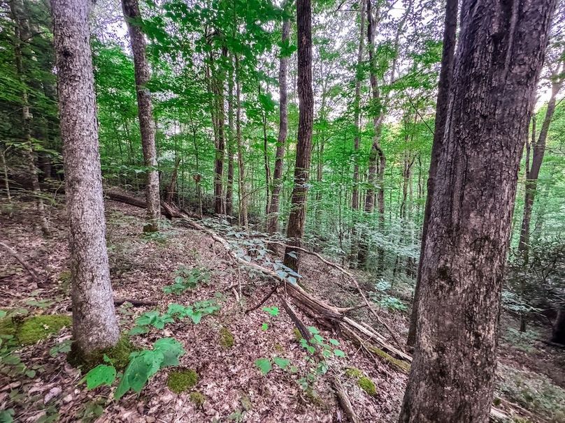 Webster, WV 42 AC Barger-10