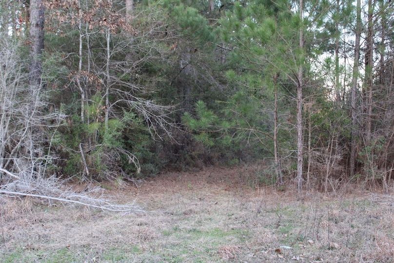 16B9FCE5-7D38-4CBE-8FAF-E057E46BE194_1_105_c