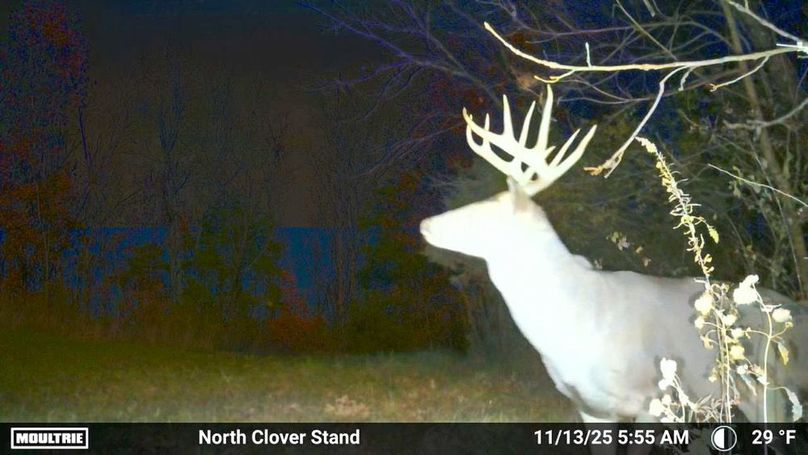 Fleming Petry 120-044