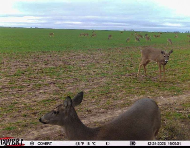 Screenshot_20231224_162102_CovertWireless