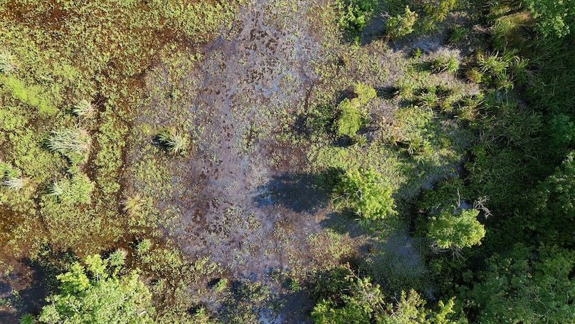 DJI_20250627095202_0102_D