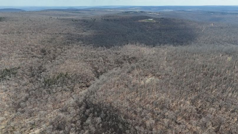 stone8020260307_0053