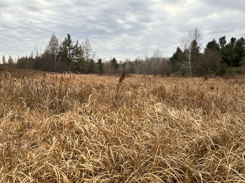 IMG_8725