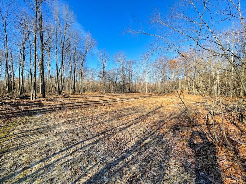 ClarK 160 WILLIAMS -42