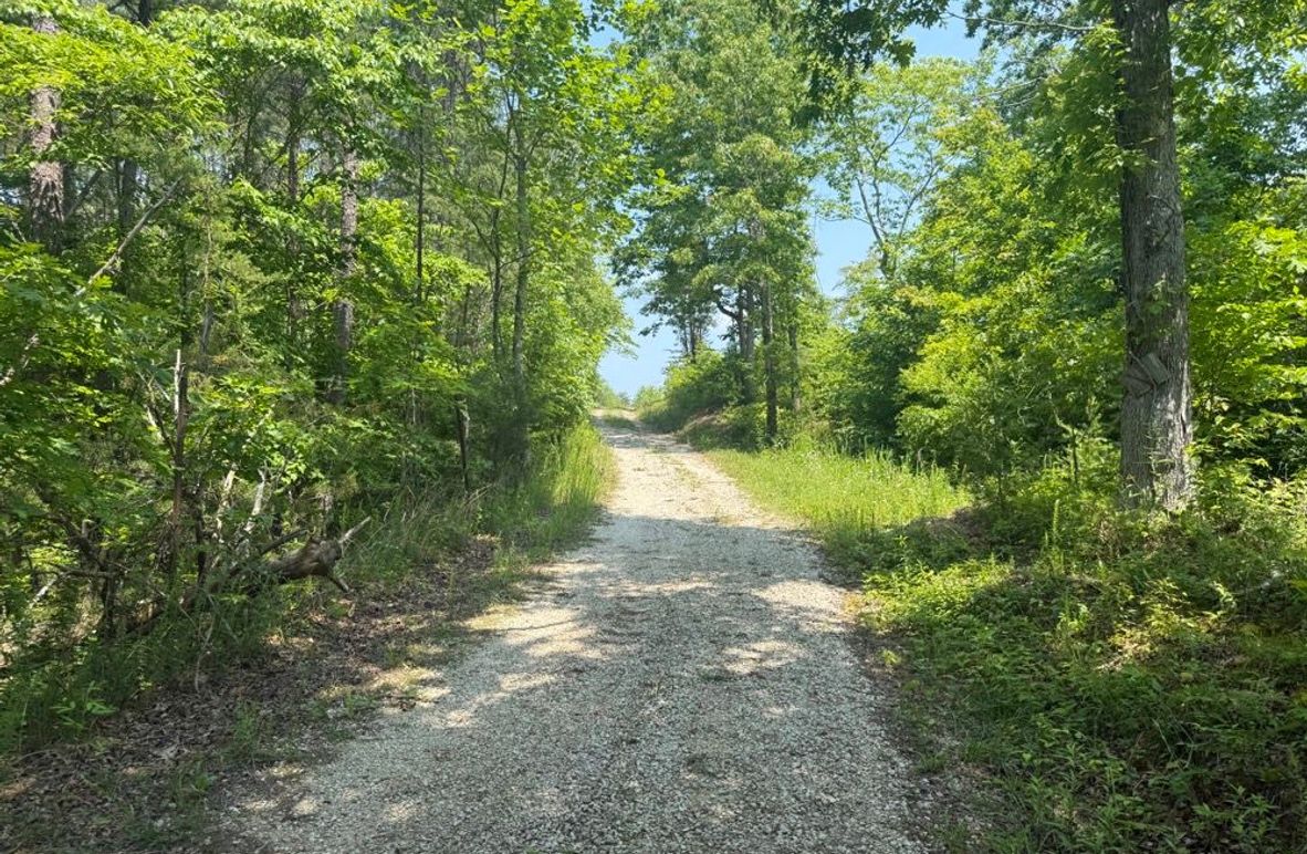 004 Happy Acres Road leading up the hill towards the open fields-2