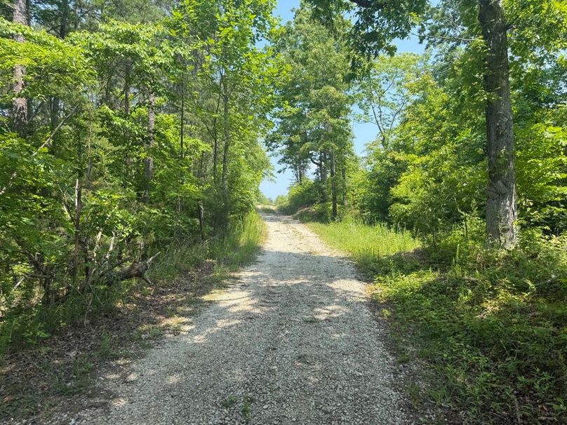004 Happy Acres Road leading up the hill towards the open fields-2