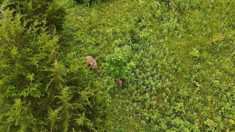 DJI_20250605132336_0663_D