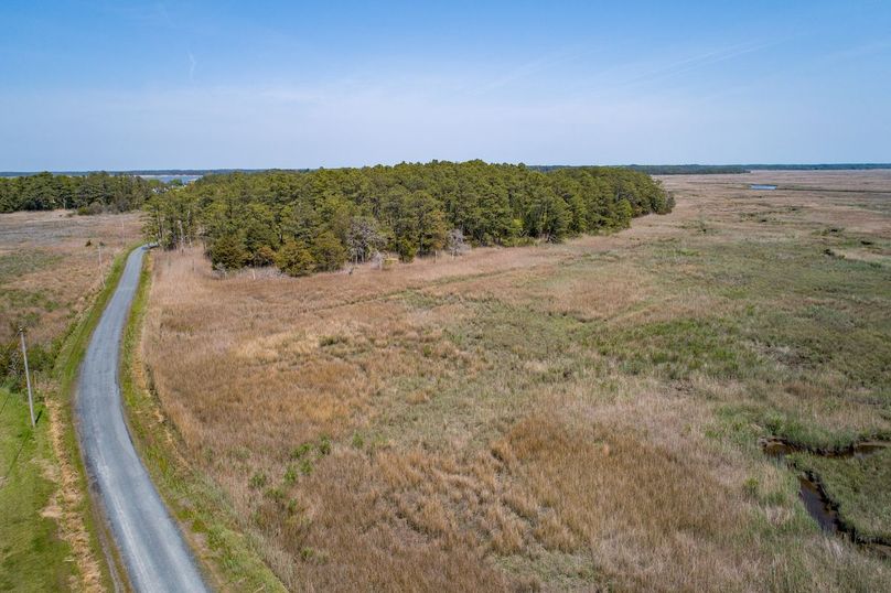 DJI_0175240428-ZF-0713-72000-1-001-005