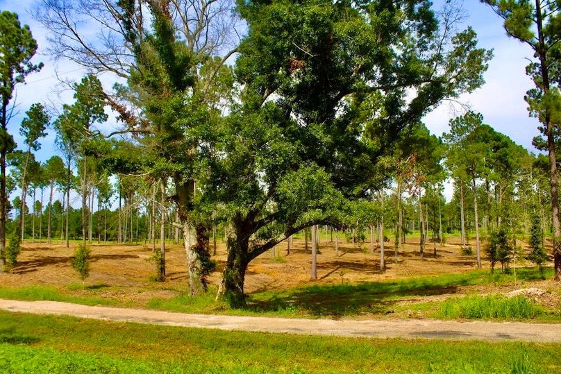 A918CF4E-CD40-423A-8DBB-34131B8D6DCC_1_105_c