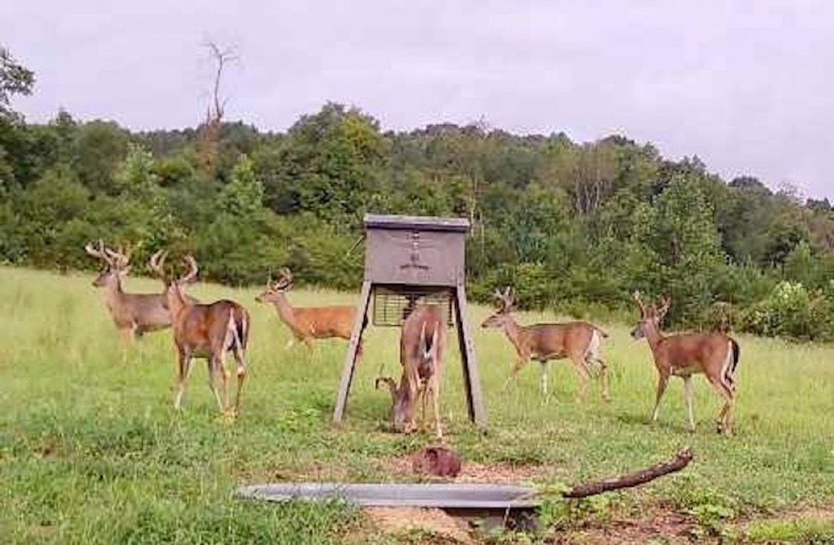 77341e2d-9492-4368-bb20-e8a9a6677647