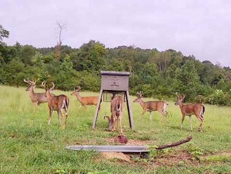 77341e2d-9492-4368-bb20-e8a9a6677647