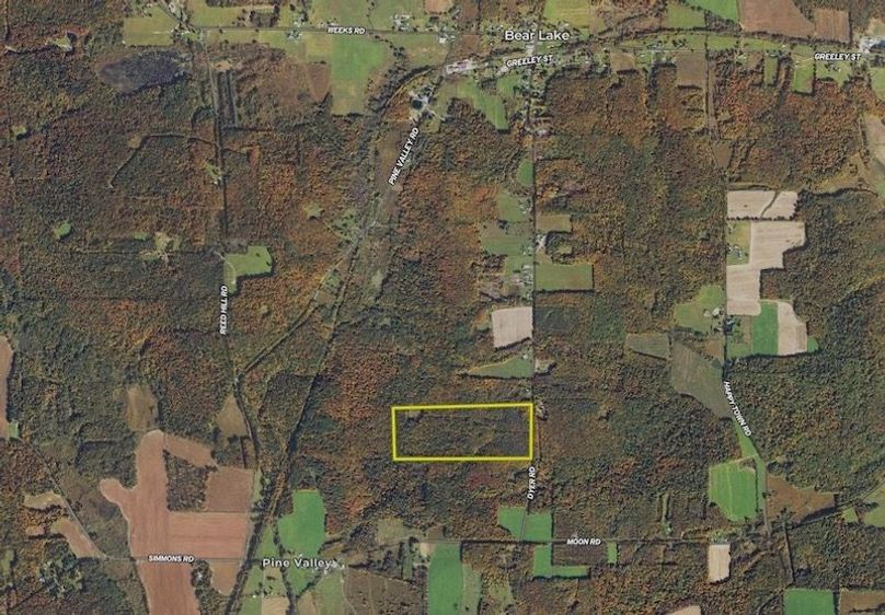 Screen Shot 2024-06-20 at 9.24.08 AM