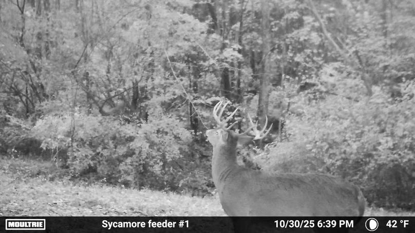 Fleming Petry 120-042