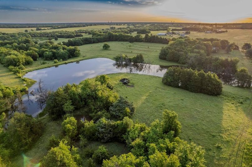 Fannin County- Pecan Ridge (46 of 53)