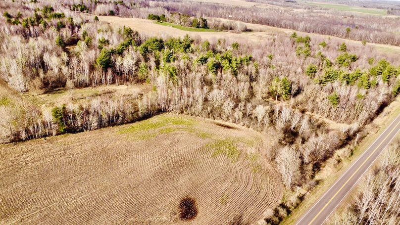 dji_fly_20230504_180646_692_1683241617633_photo_optimized