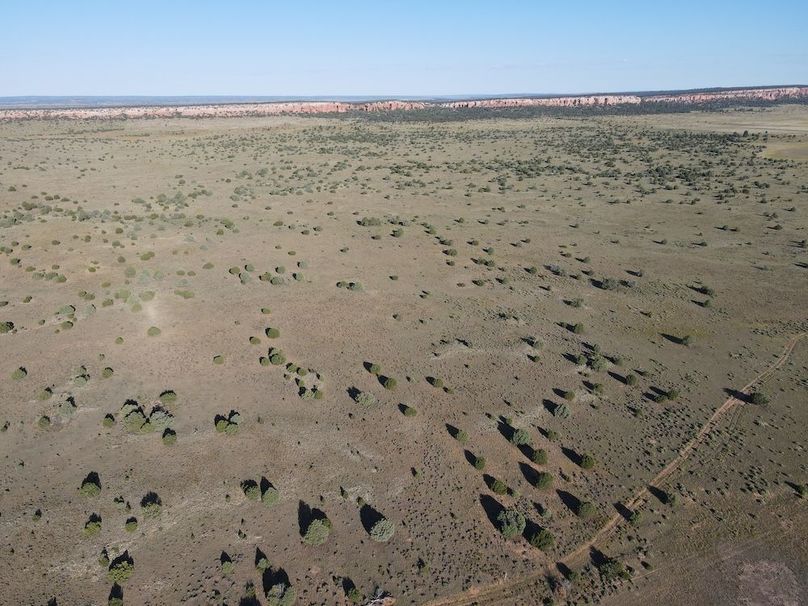 dji_fly_20240816_081040_528_1723817825219_photo