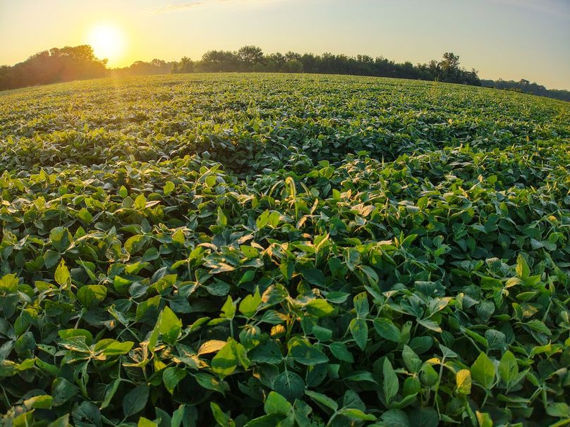 DJI_20250823071758_0937_D