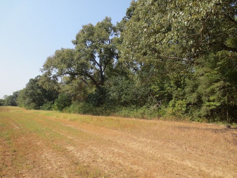 262D8209-0CC8-497D-AD26-30F0255EFB21_1_105_c