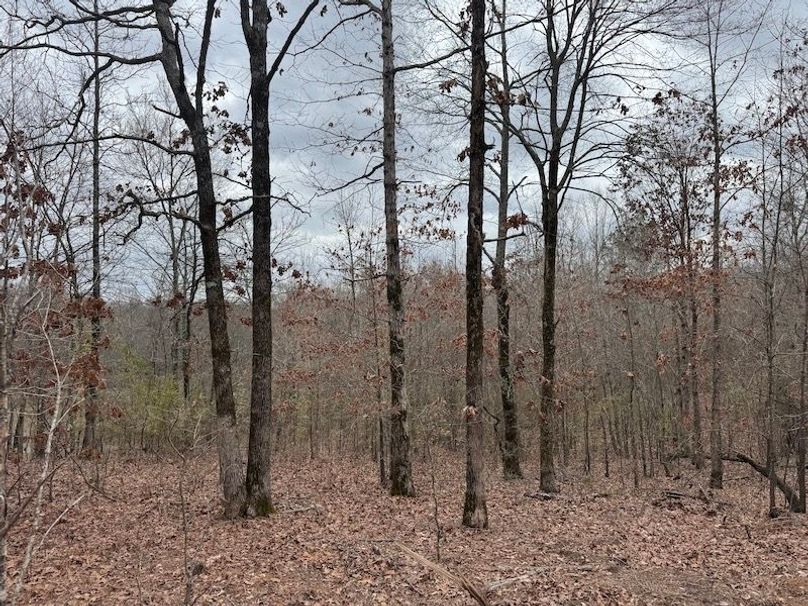 311 new20260217_0475