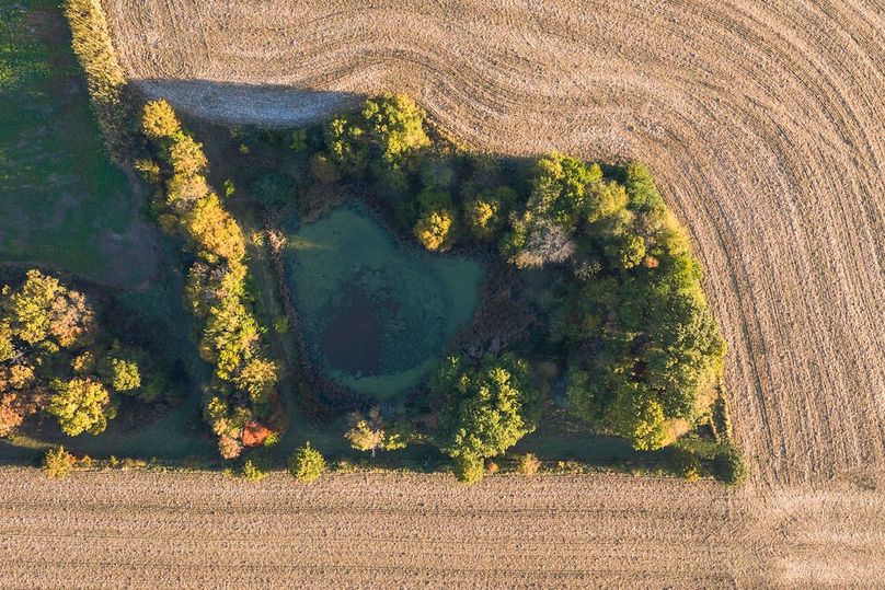 DJI_20251031083300_0307_D-HDR