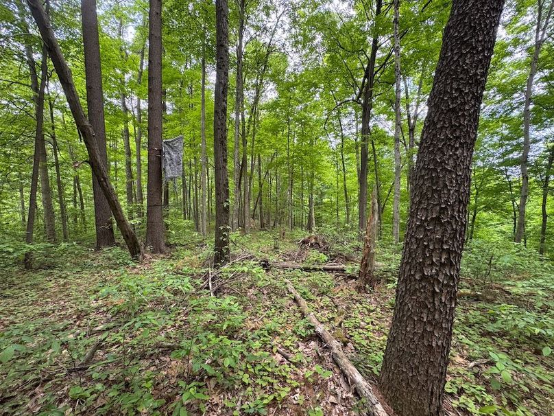 Pleasants, WV 168.59 AC Superior, Swank, Young-091