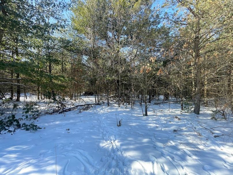 Adams 25, Nessler -43