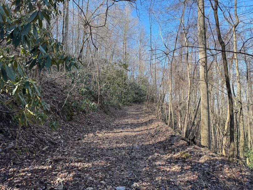 023_Clay 124.76 Fleaback-10