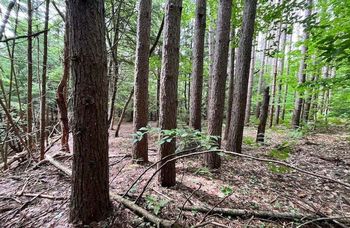 Oswego_22.46-Ross-French_Photos_5