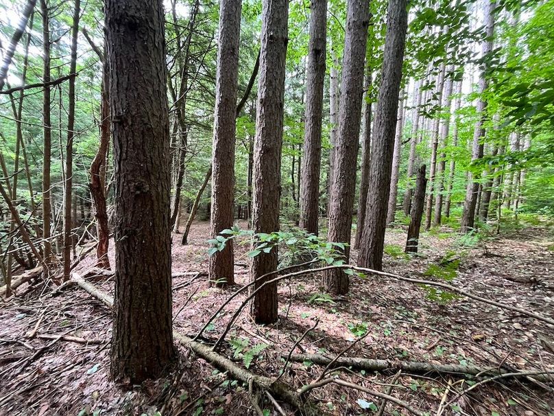 Oswego_22.46-Ross-French_Photos_5