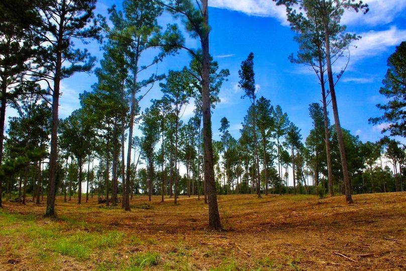 9E2E9E95-1EEB-43FC-9286-9D193A95CD3B_1_105_c