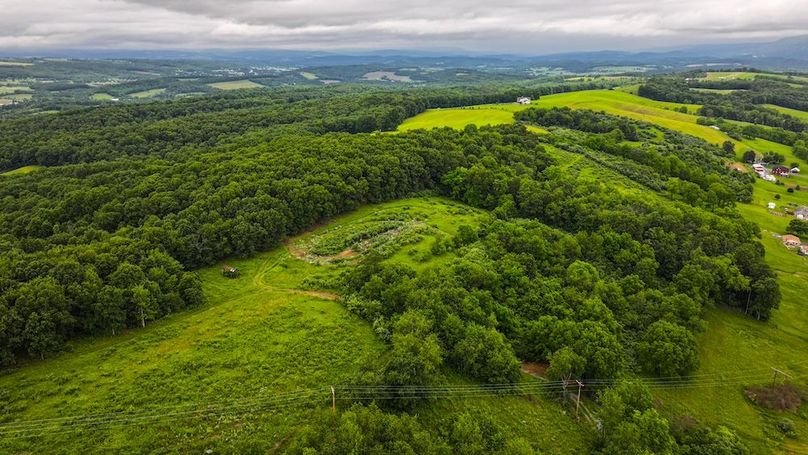 Bedford,121,Beegle-57