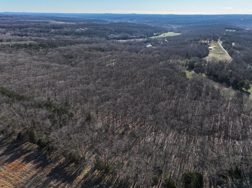 DJI_20260317092448_0953_D