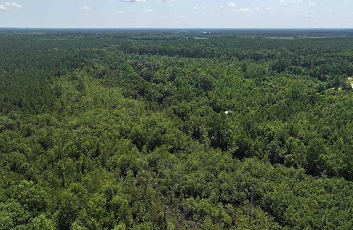 DJI_20250627111311_0138_D