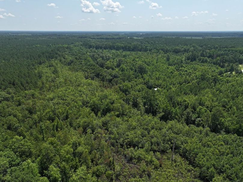 DJI_20250627111311_0138_D