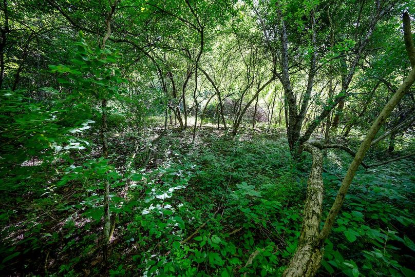 DSC_5574-Edit