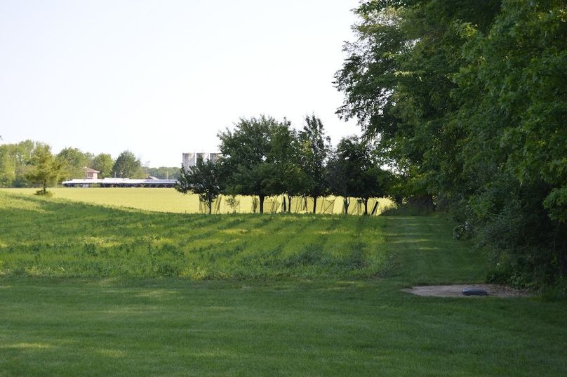 View of orchard