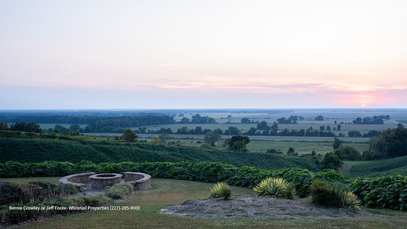 Tallahatchie 847 Messina-38