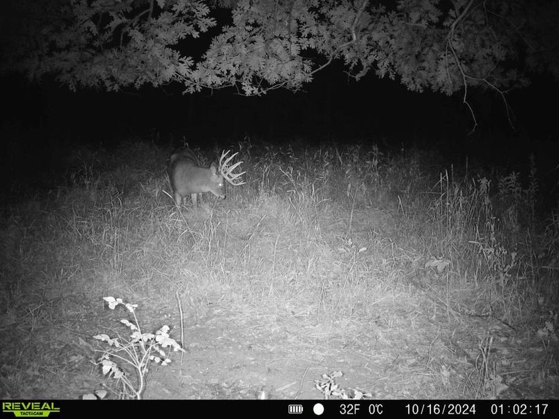 Copy of 868032067297402-100-4-10162024140400-HD-SYFW7291