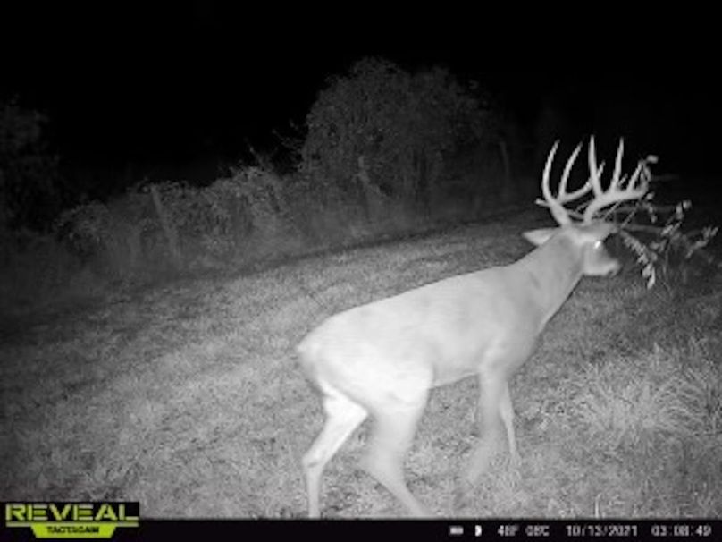 d06827d3-5dc9-4fa0-96a3-857978df199f