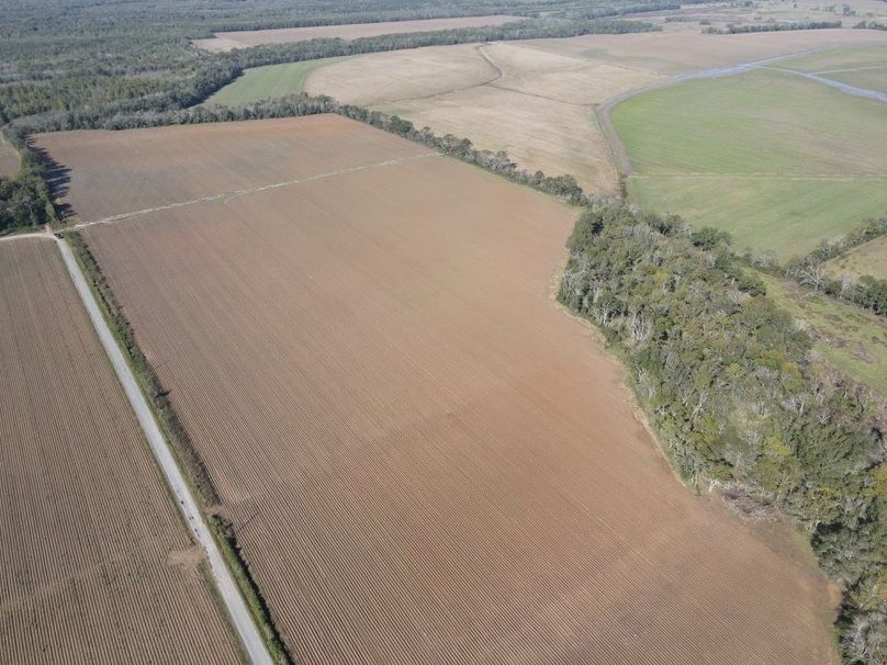 dji_fly_20241119_102606_357_1732033581674_photo
