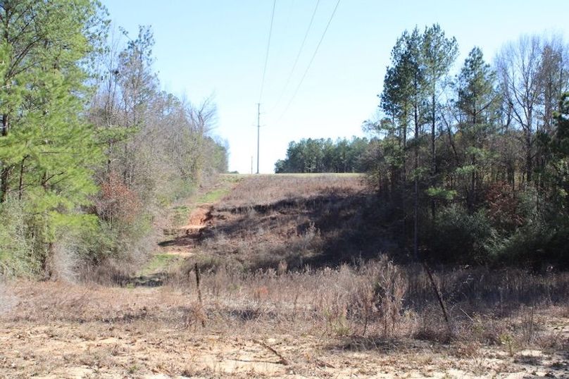 A8A9E984-9AE5-4276-8A7B-96A9AA03FD32_1_105_c