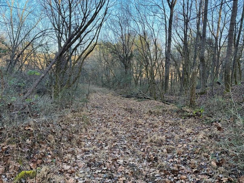 021 tons of trails throughout-2