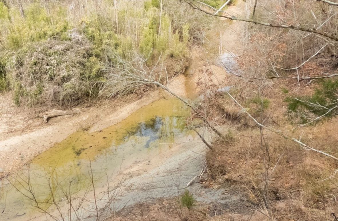 Yazoo Co - 75 - Batton-03