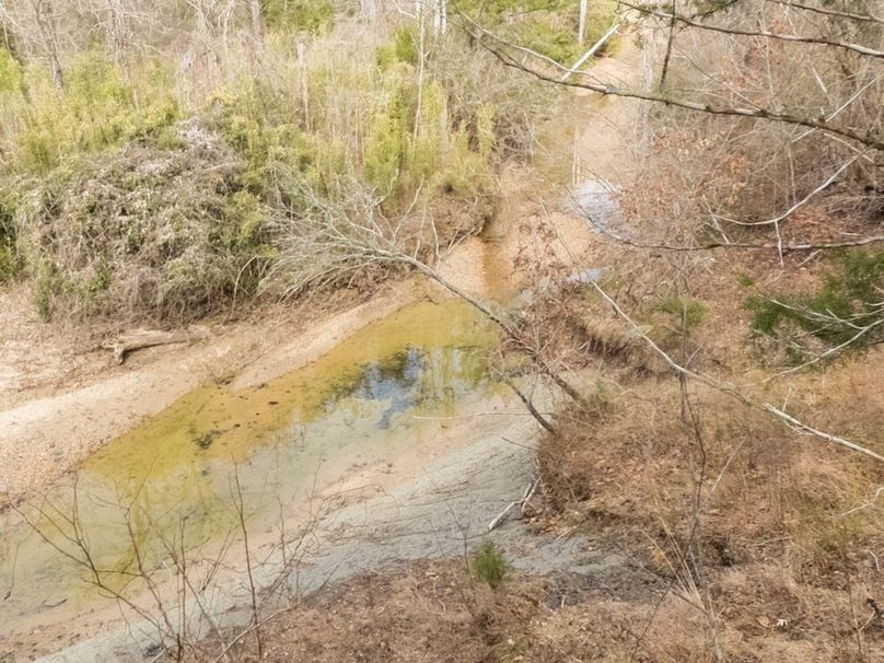 Yazoo Co - 75 - Batton-03