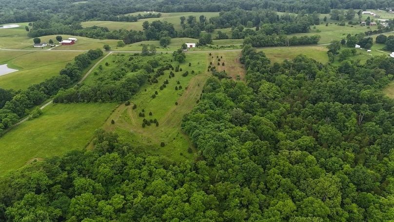 DJI_20250605123443_0564_D