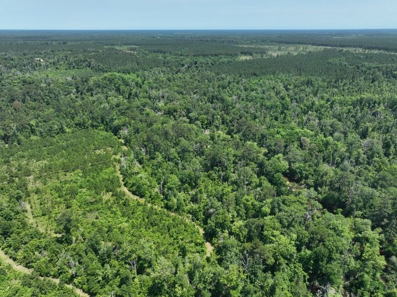 dji_fly_20250522_161340_230_1747959635407_photo