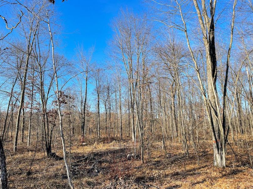 ClarK 160 WILLIAMS -47