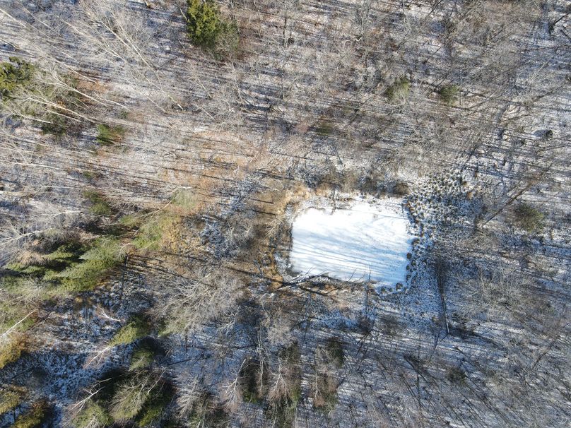 DJI_0833
