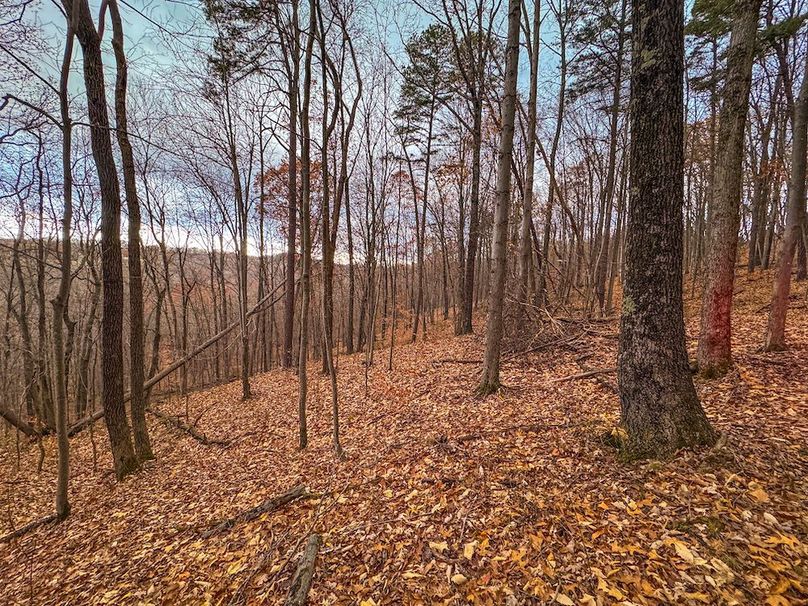 Ritchie, WV 14.081 AC Currey-29