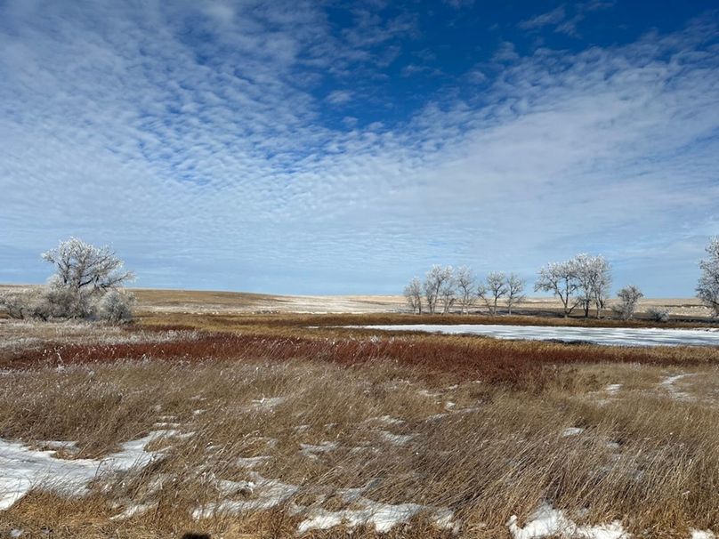 6A0E30BB-1DC9-4704-AB02-E489A23A4F6E_1_105_c